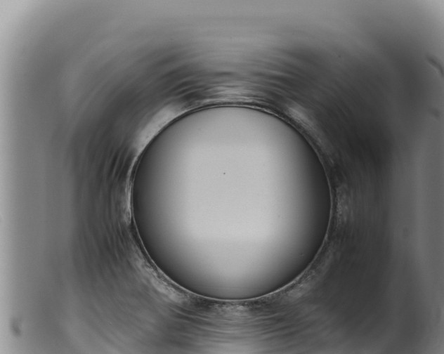 X0000099551370200805231141