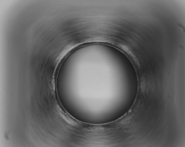 X0000099551372200805231141