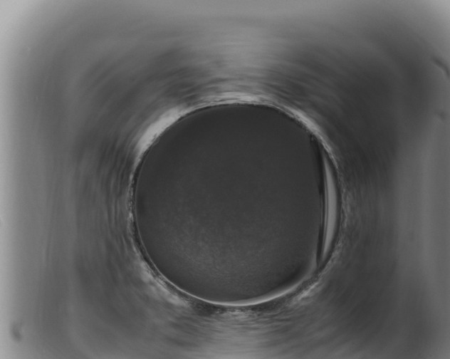 X0000099551373200805231140