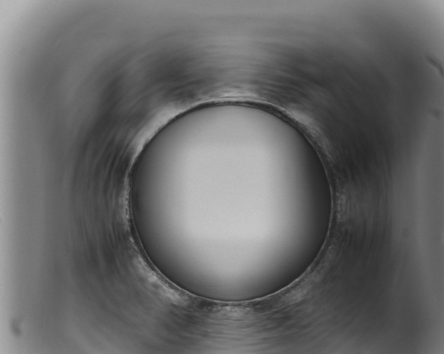 X0000099551374200805231140