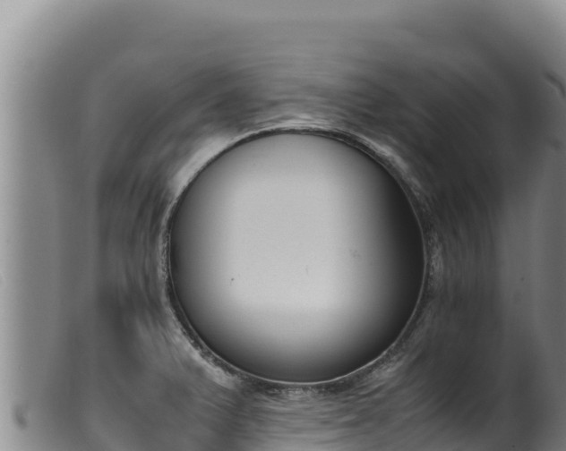 X0000099551375200805231140