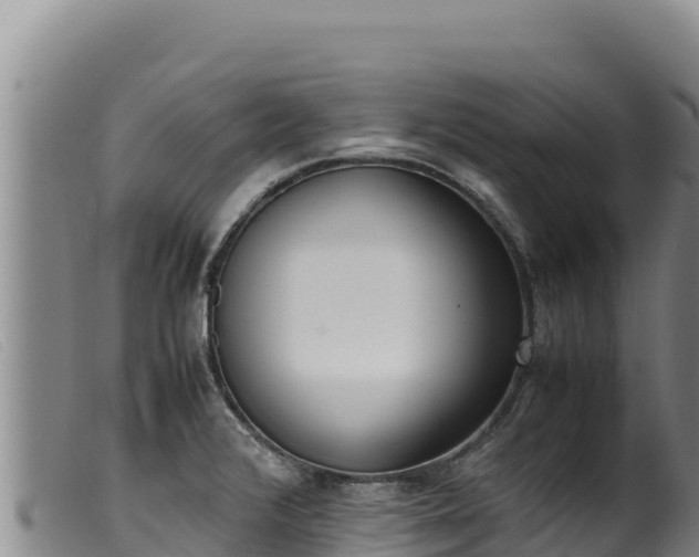 X0000099551376200805231140