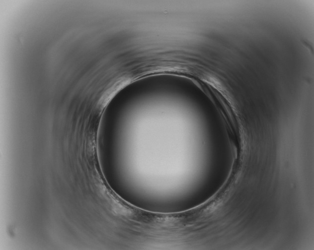 X0000099551377200805231140