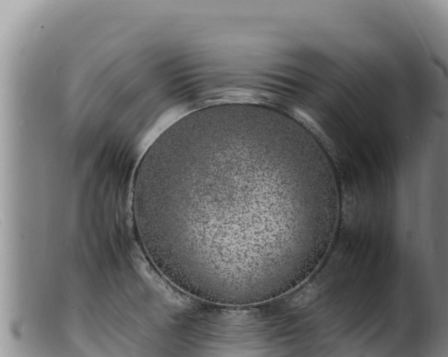 X0000099551378200805231140