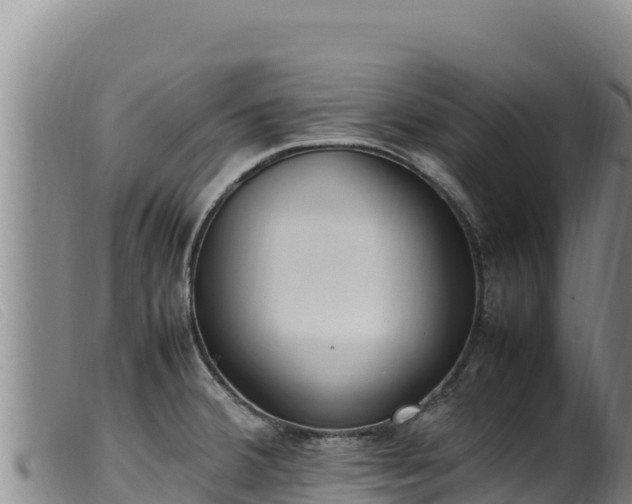 X0000099551380200805231140