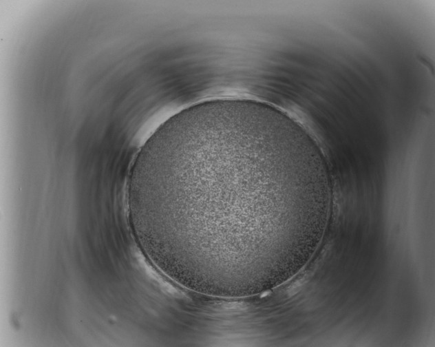 X0000099551382200805231140