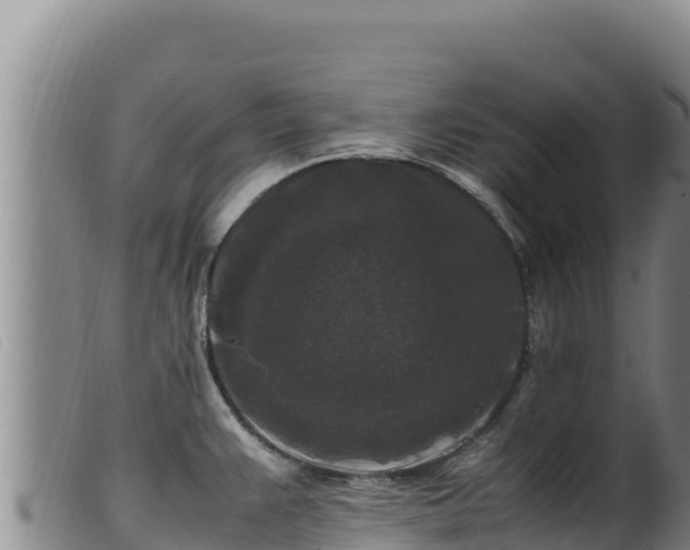X0000099551383200805231140