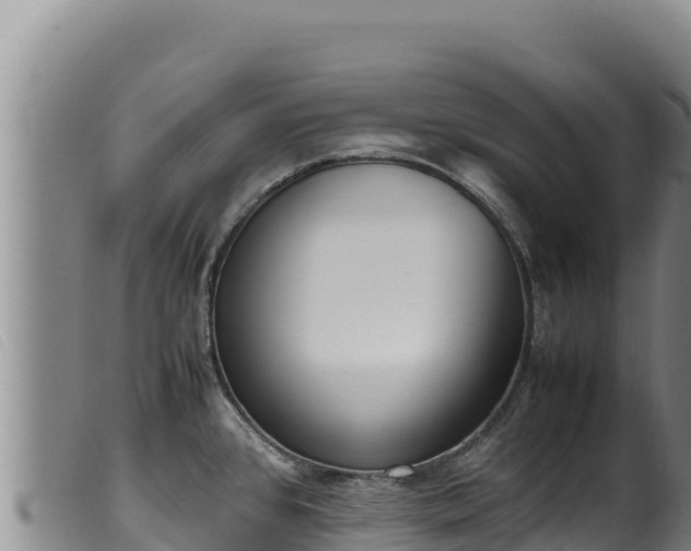 X0000099551384200805231140