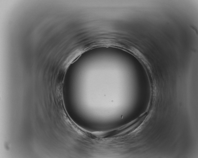 X0000099551385200805231140