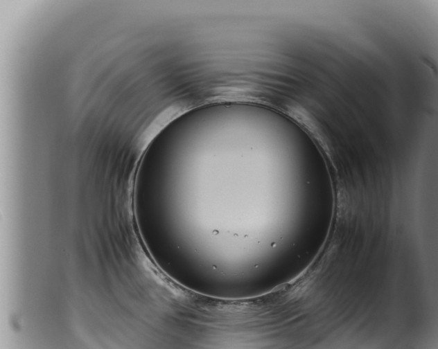 X0000099551386200805231140