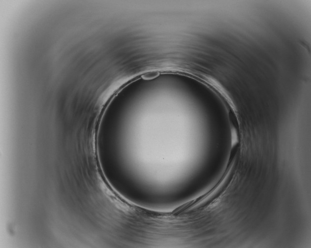X0000099551388200805231140
