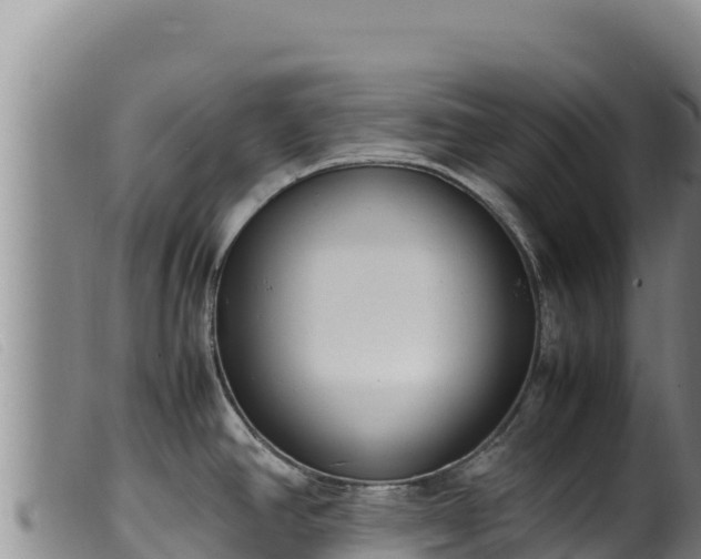 X0000099551390200805231140