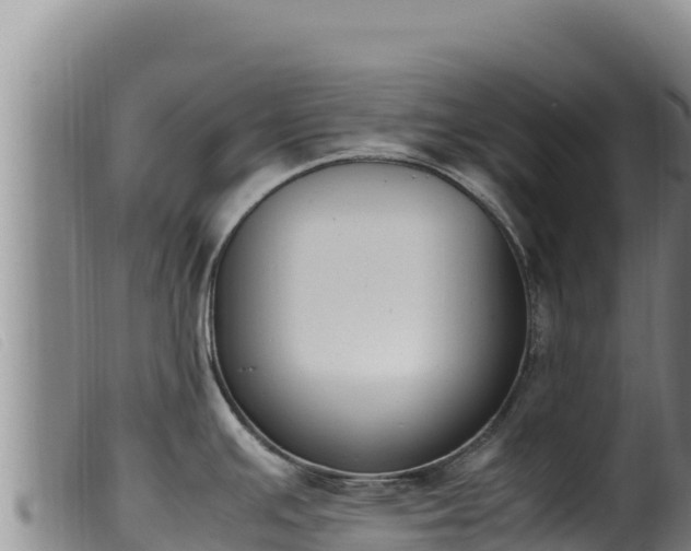 X0000099551391200805231140