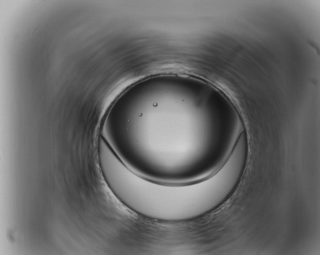 X0000099551392200805231140