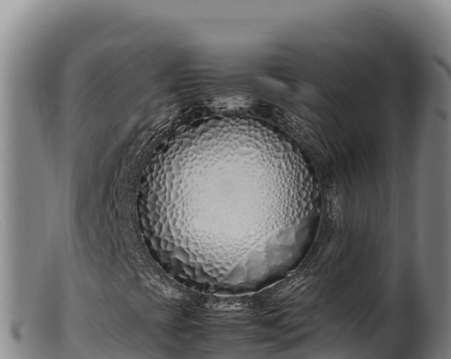 X0000099551393200805231140