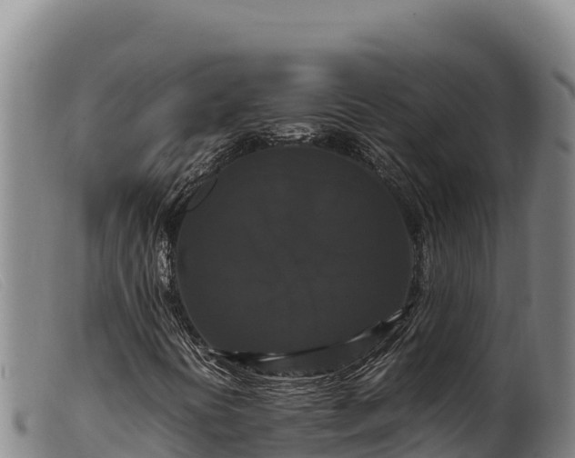 X0000099551394200805231140