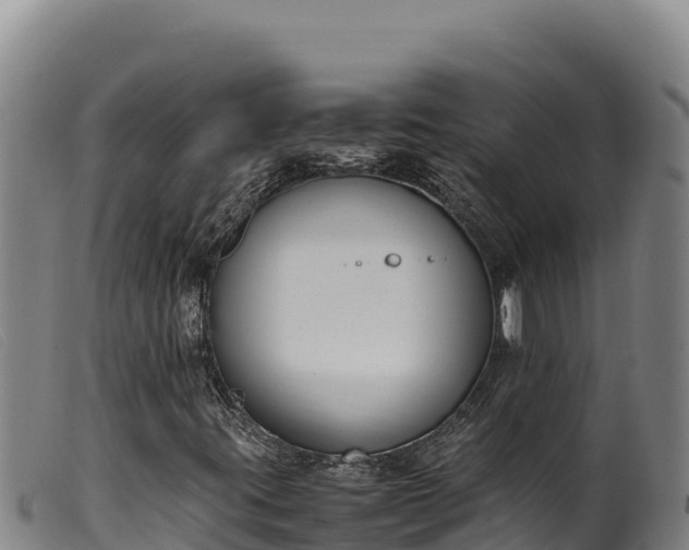 X0000099551395200805231140