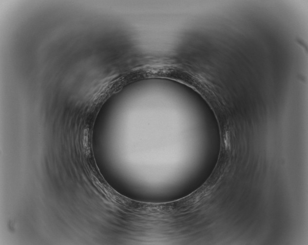 X0000099551396200805231140