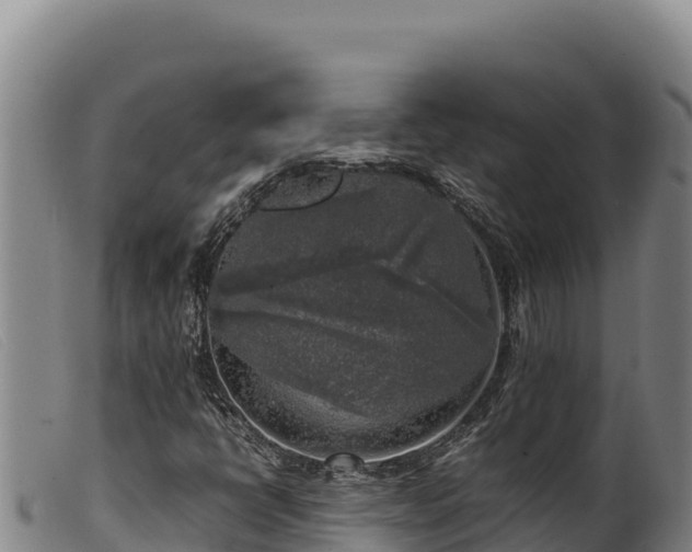 X0000099551398200805231140