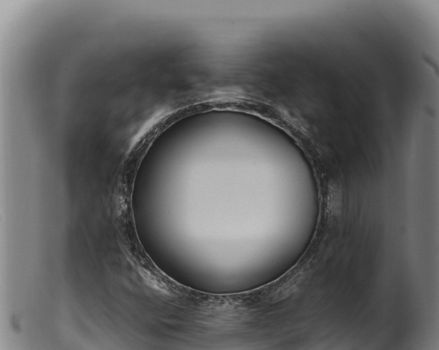 X0000099551400200805231140