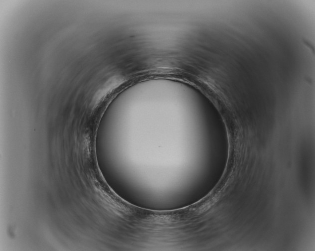 X0000099551402200805231140