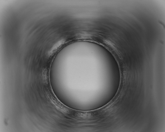 X0000099551403200805231140