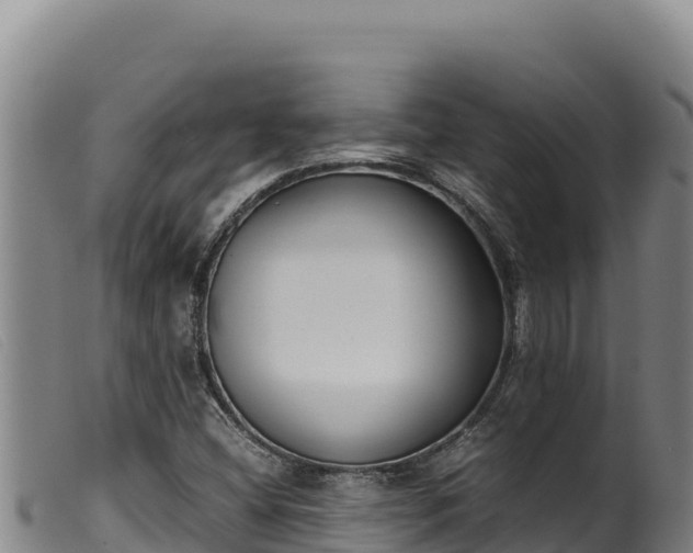 X0000099551404200805231140
