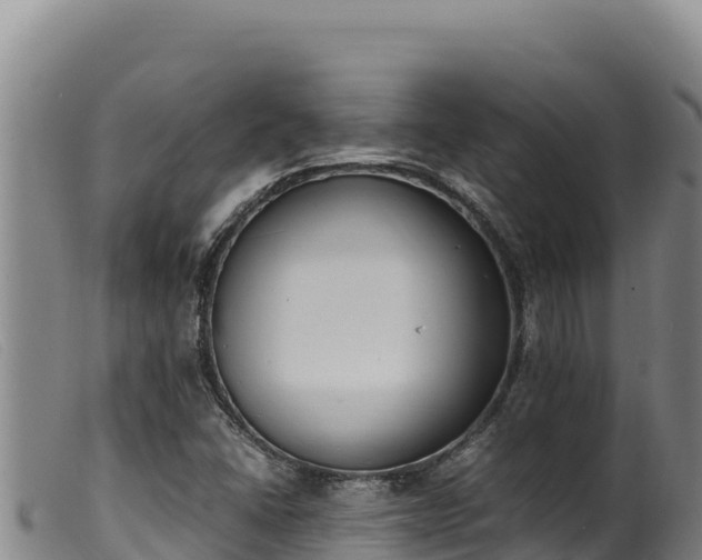 X0000099551406200805231140