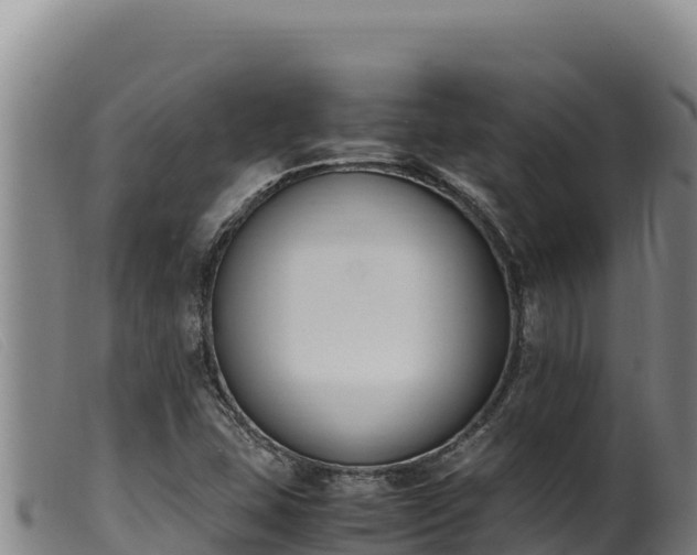 X0000099551407200805231140