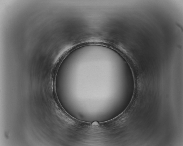 X0000099551408200805231140