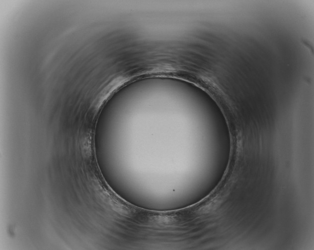 X0000099551409200805231140
