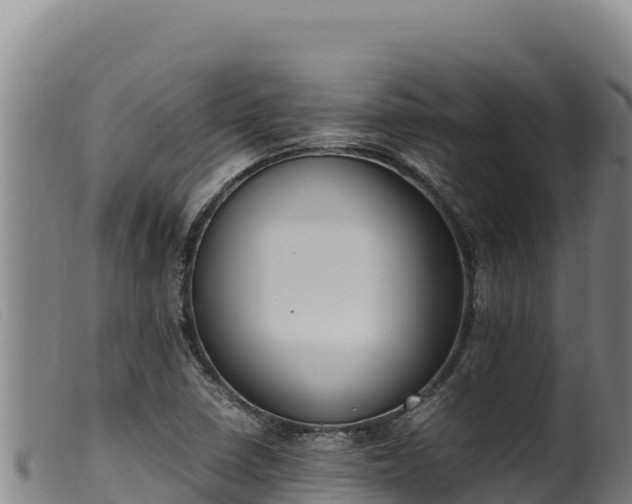 X0000099551410200805231140