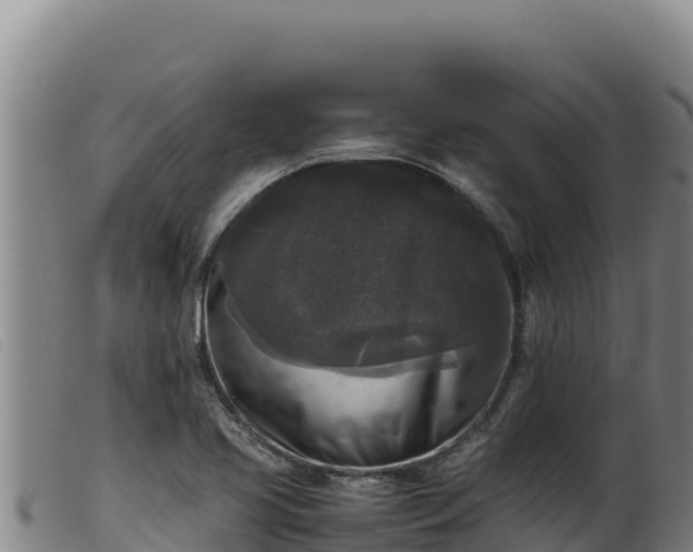X0000099551413200805231140