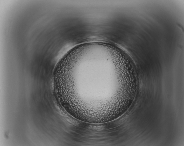 X0000099551415200805231140
