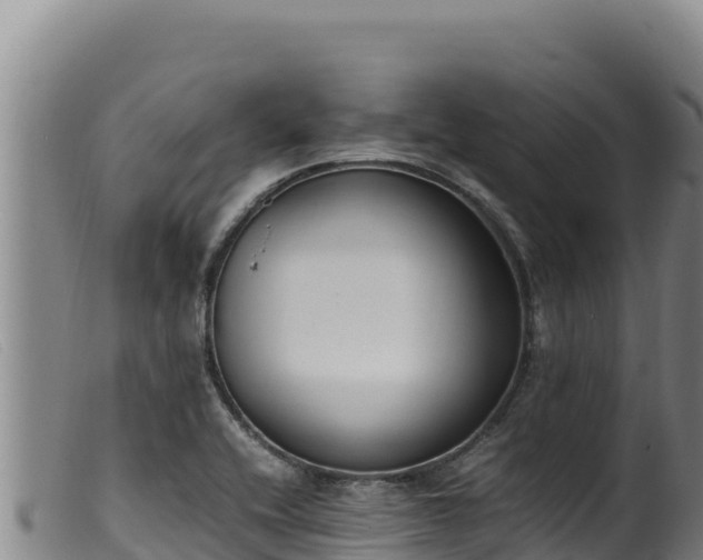 X0000099551416200805231140