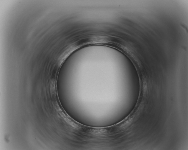 X0000099551417200805231140