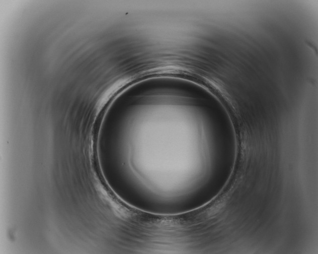 X0000099551418200805231140