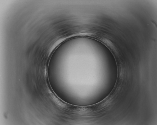 X0000099551420200805231140