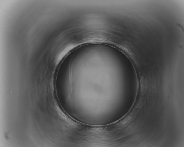 X0000099551422200805231140
