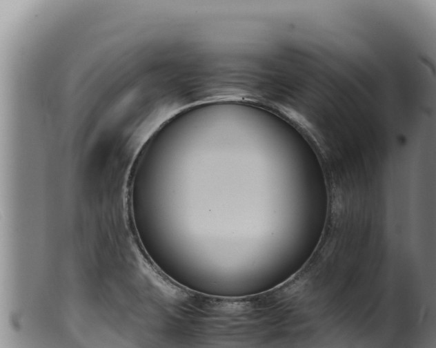 X0000099551423200805231140
