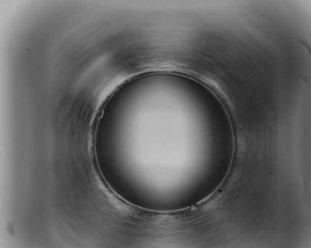 X0000099551424200805231140