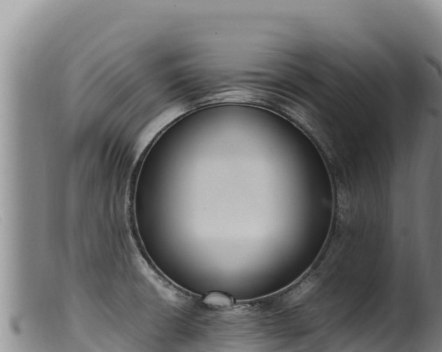 X0000099551426200805231140