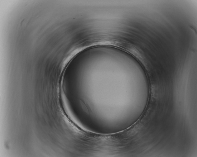 X0000099551428200805231140