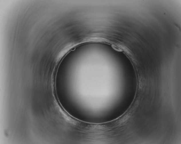 X0000099551430200805231140