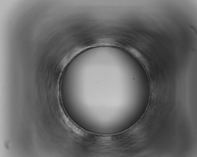 X0000099551431200805231140