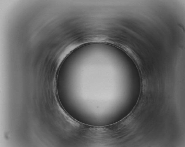 X0000099551432200805231140