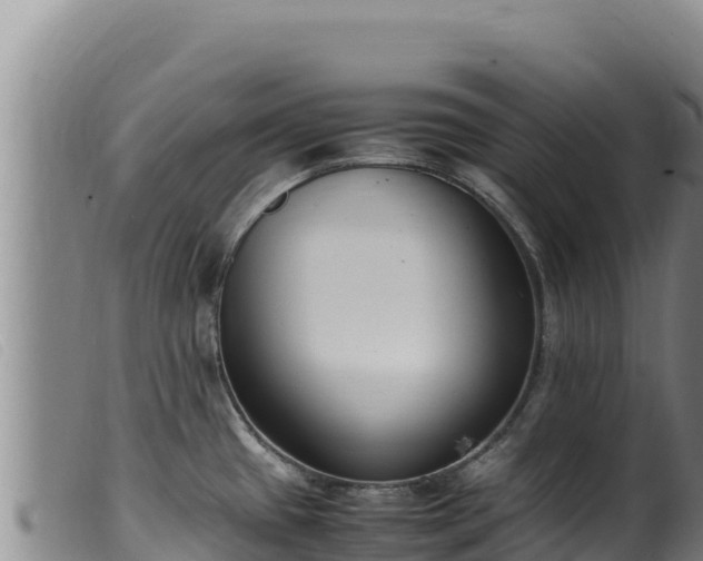X0000099551433200805231140