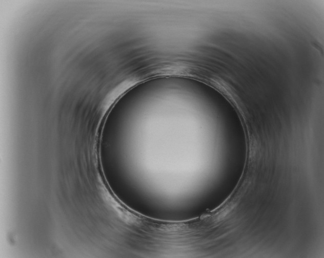X0000099551434200805231140