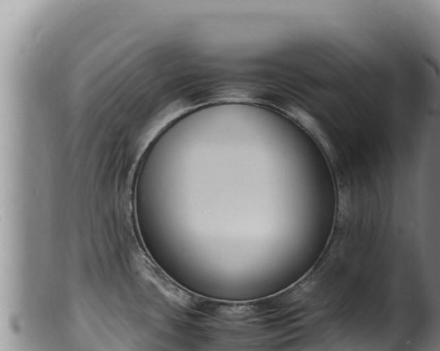 X0000099551435200805231140