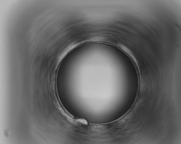 X0000099551437200805231140